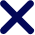 Close Icon
